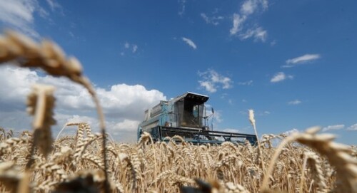 Про проведення посівної та загрозу продовольчої кризи в Україні - агрокомпанії