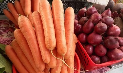 Четыре важных момента при выращивании моркови