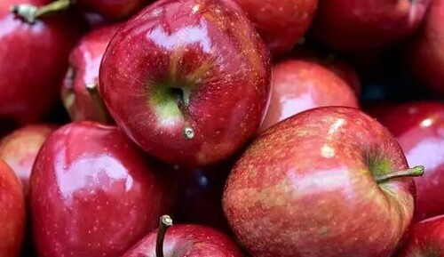 Большой урожай яблок и груш, если применить одну хитрость в июле