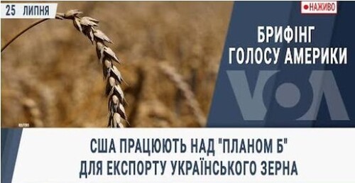 США працюють над "планом Б" для експорту українського зерна