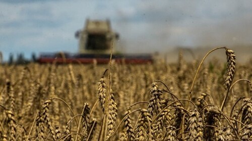 США закуплять українське зерно для Продовольчої програми ООН на тлі «світової продовольчої кризи»