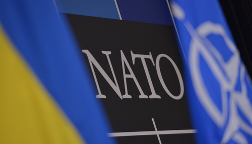 CYNIC: По кейсу вступления Украины в НАТО