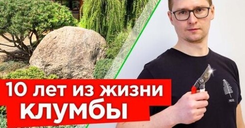 ИДЕАЛЬНАЯ ХВОЙНАЯ КОМПОЗИЦИЯ В САДУ! Как менялась клумба из хвойных в течение 10 лет