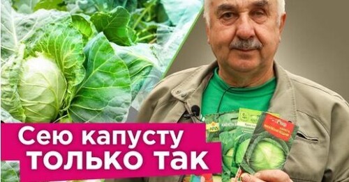 КОВАРНАЯ ОШИБКА ПРИ ПОСЕВЕ КАПУСТЫ! Важные нюансы при выращивании рассады капусты в апреле