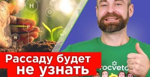 РАССАДА СТАНЕТ ИЗУМРУДНО-ЗЕЛЕНОЙ, ТОЛСТОЙ И КРЕПКОЙ! Чего не хватает перцам и томатам?