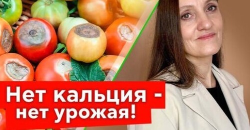 Как добавить КАЛЬЦИЙ в почву? Самые эффективные и доступные средства!