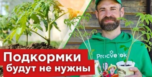 ЧТО ПОЛОЖИТЬ В ЛУНКУ ПРИ ПОСАДКЕ ТОМАТОВ? Рассада приживется, не замерзнет и даст отличный урожай!