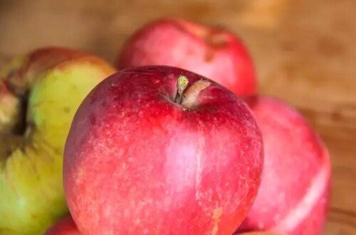 Как правильно подкормить яблоню в августе