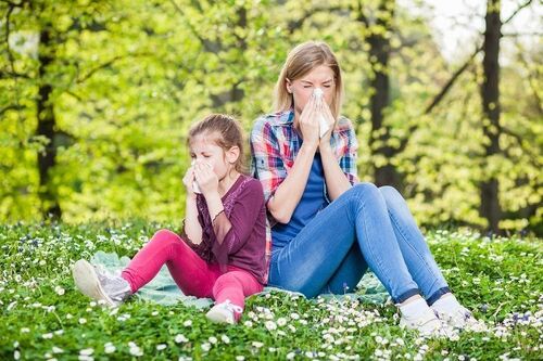Що необхідно знати про алергію