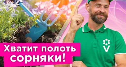 ПОЛОТЬ СОРНЯКИ ВОСПРЕЩАЕТСЯ в это время! Когда прополка - плохая идея и как быстро победить сорняки?