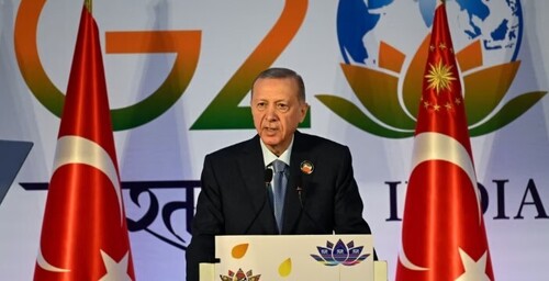 Ердоган на G20 виступив на підтримку позиції Путіна щодо зернової угоди