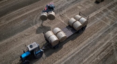 ЄС закликає Польщу, Угорщину та Словаччину до конструктиву в питанні українського зерна