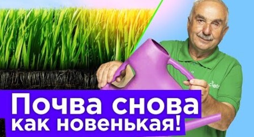 ПРОЛЕЙТЕ ПОЧВУ ПОСЛЕ ТОМАТОВ, ОГУРЦОВ, КАРТОШКИ ЭТИМ, и она станет снова здоровой и плодородной!