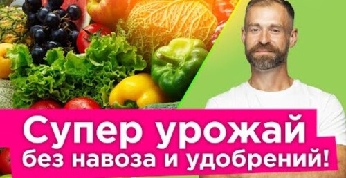 ЛЕНИВЫЙ КОМПОСТ ПРЯМО НА ГРЯДКЕ БЕЗ КУЧИ, ГРЯЗИ И ЗАПАХА! Главное знать это важное правило