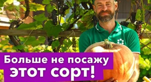 ПОДВОЖУ ИТОГИ 2023 года: главные открытия и разочарования. Показываю урожай и делюсь планами