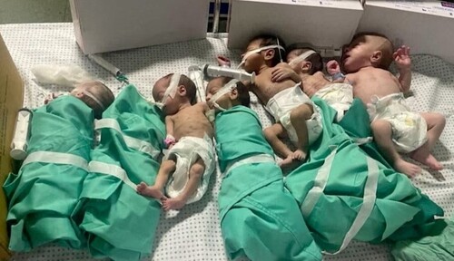США закликають Ізраїль уникати боїв поряд з лікарнями у Газі