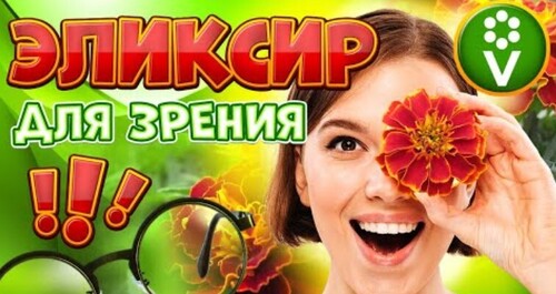 Цветы бархатцы ДЛЯ ЗРЕНИЯ! Как сделать лютеиновую настойку