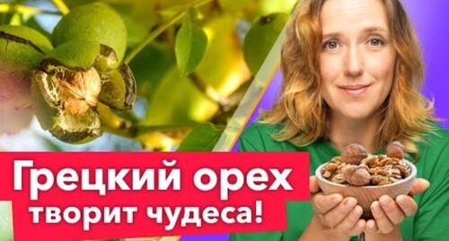 САМЫЙ ПОЛЕЗНЫЙ ОРЕХ! Уникальные свойства и секреты выращивания грецкого ореха