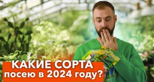 ДЕЛЮСЬ САМЫМ СОКРОВЕННЫМ! Вот какие сорта томатов, перцев и огурцов буду сажать в 2024