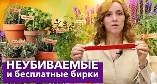 ЧУДО-БИРКИ ДЛЯ РАСТЕНИЙ: ДЕЛАЮ САМА ЗА ПАРУ СЕКУНД! Теперь всегда знаю, где и что растет